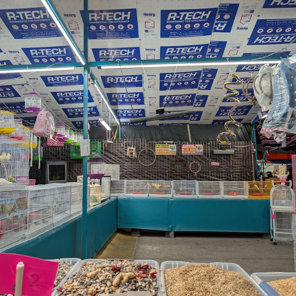 Aves En Las Vegas pet shop business photo