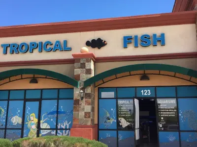 Blue Reef Aquatics, Google photo 1