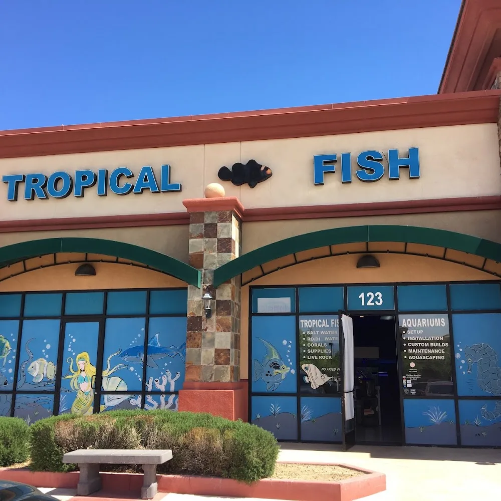 Blue Reef Aquatics business photo