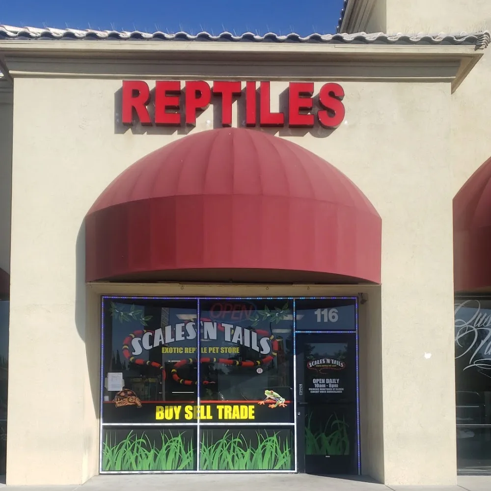 Scales 'N Tails North Las Vegas business photo